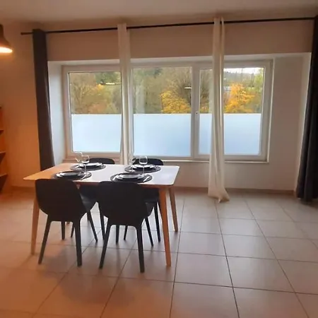 Le Fosse Sur Salm Apartment Vielsalm